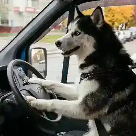 Автопомощь Хасятам