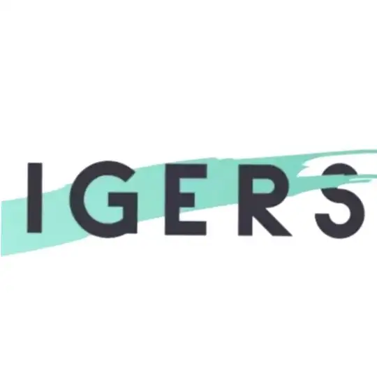 IGERS - DX3 Comments