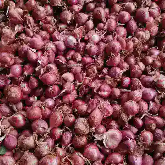 All India fruit & vegetable sellers