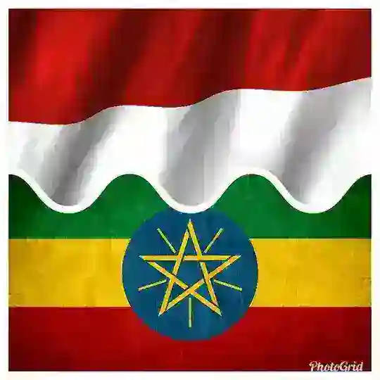 Ethio Endonesian chat