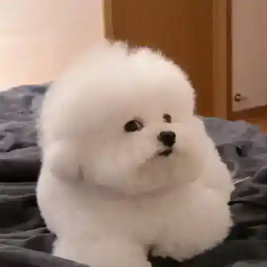 备用群