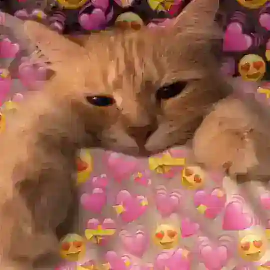 Люди (никого не ищем)