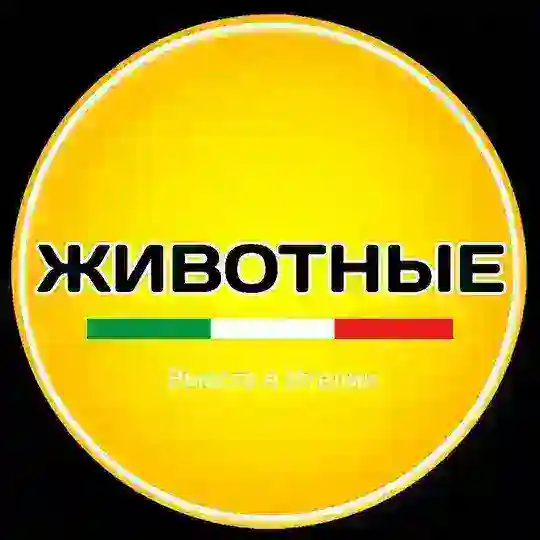 Италия | Животные 🐶🐱
