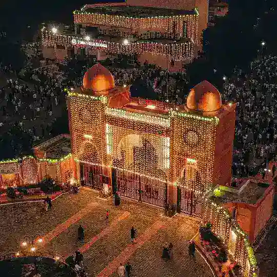 Jmi/amu bsc bioscience/biotech entrance exam preparation