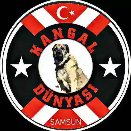KANGAL DÜNYASI 🇹🇷