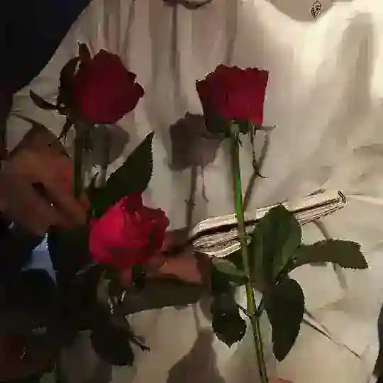 ◦•●◉✿ Фергана ситй ✿◉●•◦