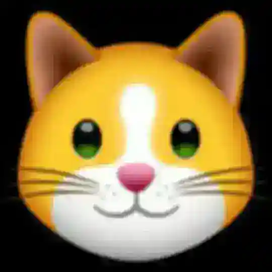 Kitten Finance Token