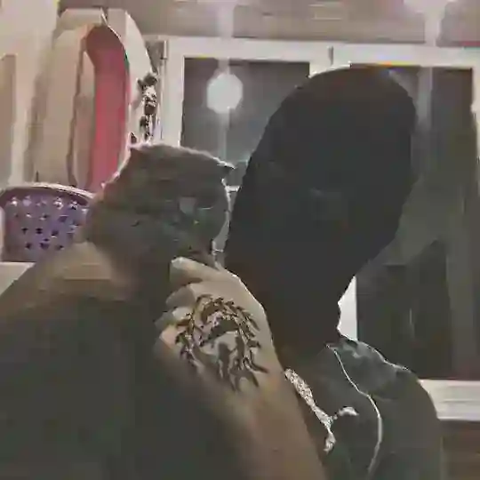 гидровский Хогвартс у garri