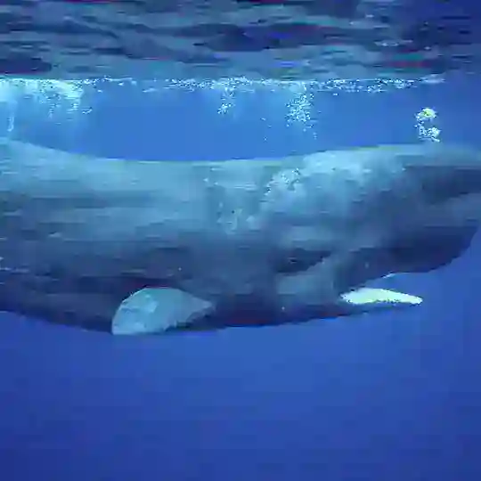 Ich will ne 5000er Gruppe