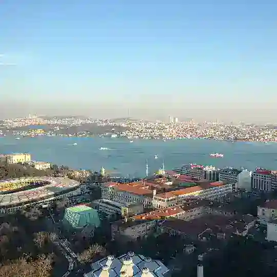 DusuncesizDusunceli