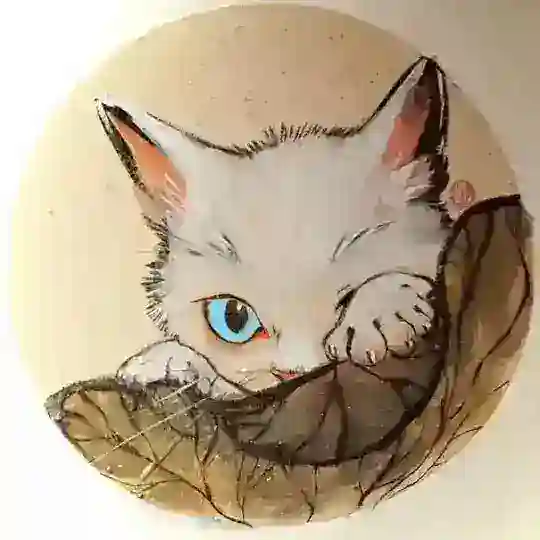 LaoLuChat (NO DM)