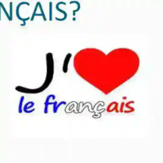 Apprendre le français