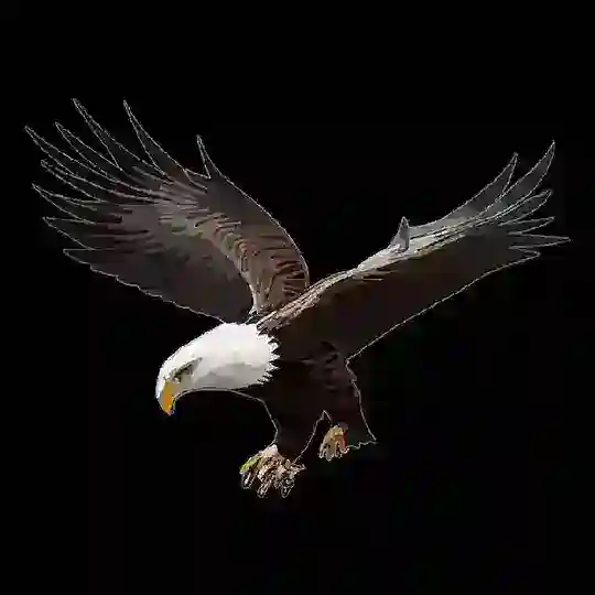 LIFEBIRD