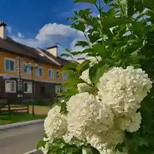 ЛИСТВЕННЫЙ 📢 Доска объявлений 🌲🏡