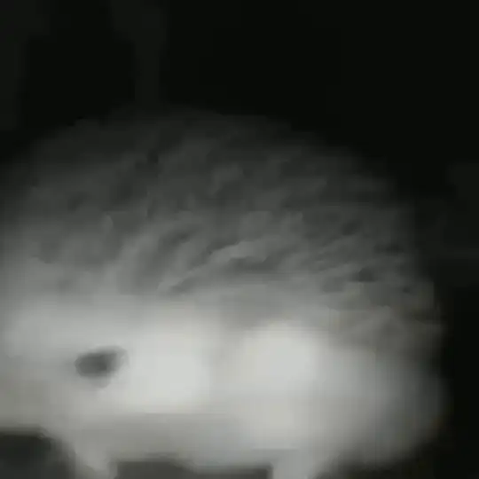 че за суета бля