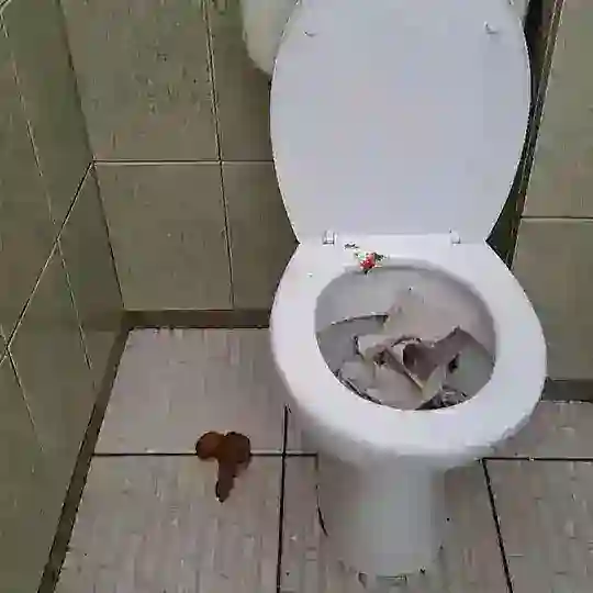 SHIT CLUB ⭕