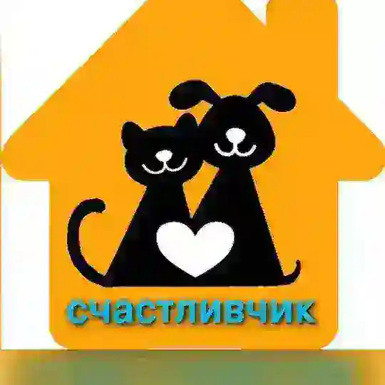 Счастливчик. Волонтёры. Каменск-Шахтинский
