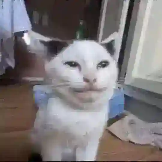Copium Meow