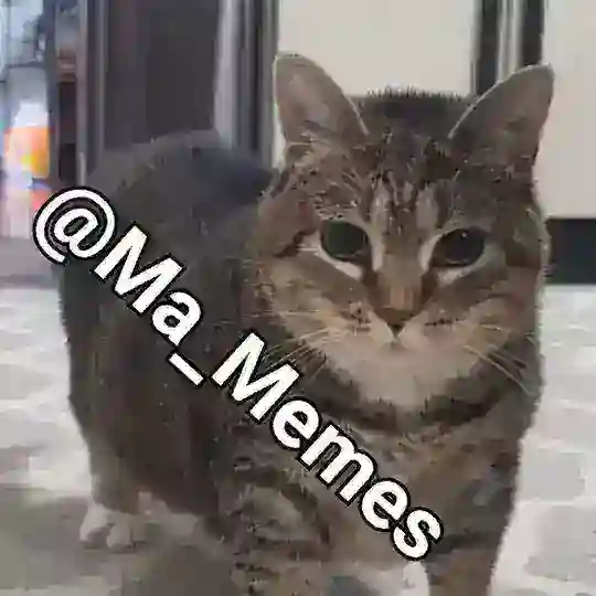 Мемная Группа 😹🤣 | MA