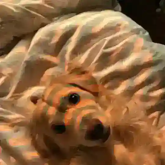 Мафия года