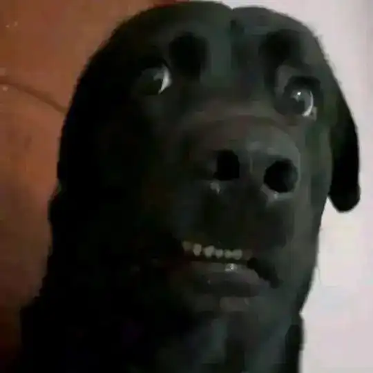 Online Income Bangladesh 🇧🇩 chat