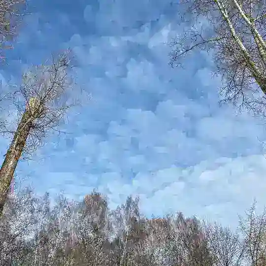 Жить