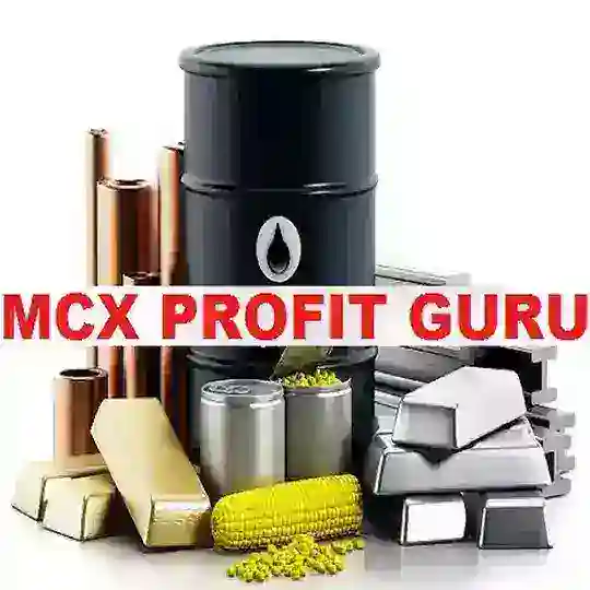 Commodity Profit Terminal | PMS
