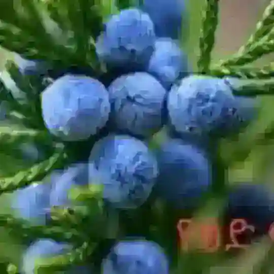 πΏπΏπ αααα³ αα© α¨αα°α α£α
αα α
ααα αα΅α« α°ααβππΏ