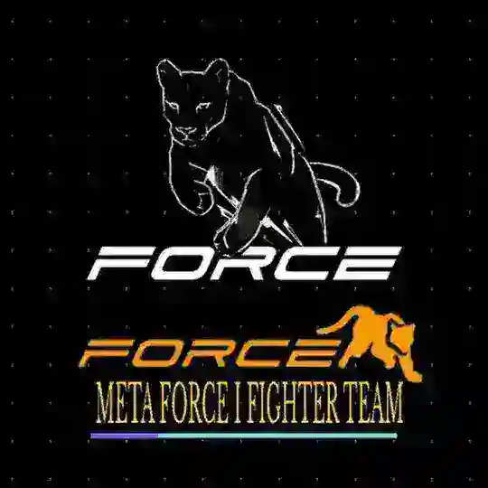 META FORCE I FIGHTER TEAM