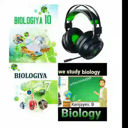 Audio biologiya chati