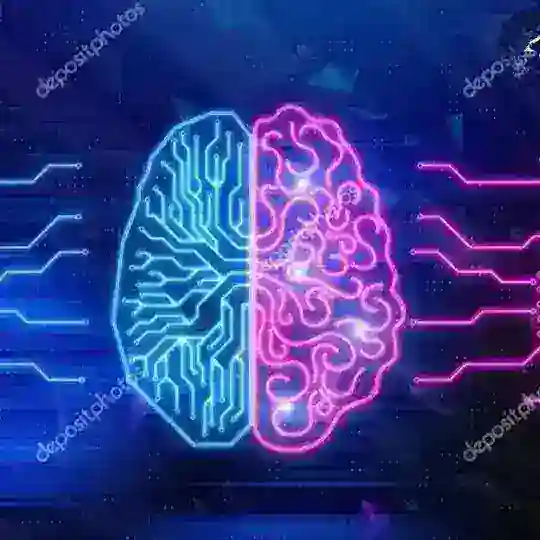 INTERNATIONAL BREAN IQ TESt
