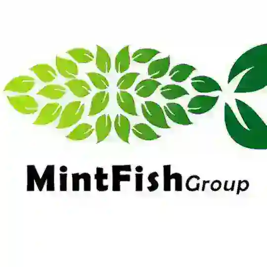 MintFish Official