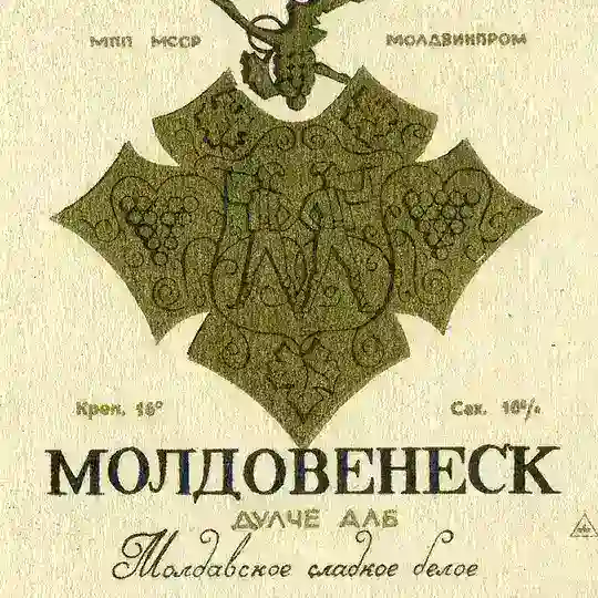 Молдавия в Москве и РФ (Moldovenii in Moscova și RF)