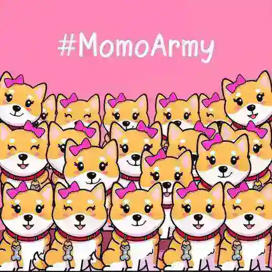 ๐ MOMO ARMY ๐