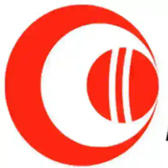 My 11 circle and Dream 11