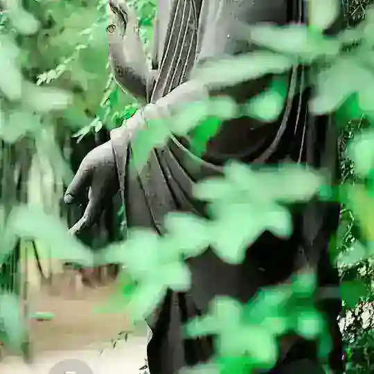 Mua Bán Trao Đổi