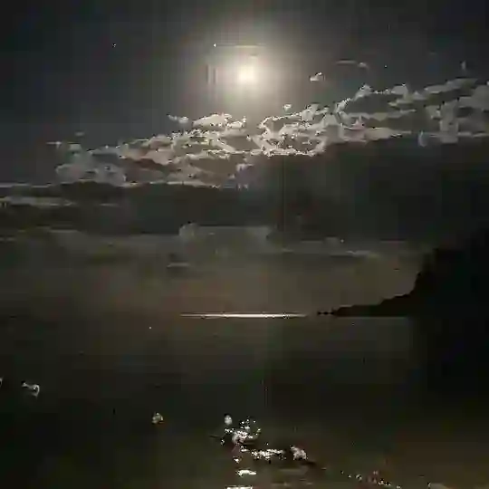My Favorite Music Chat