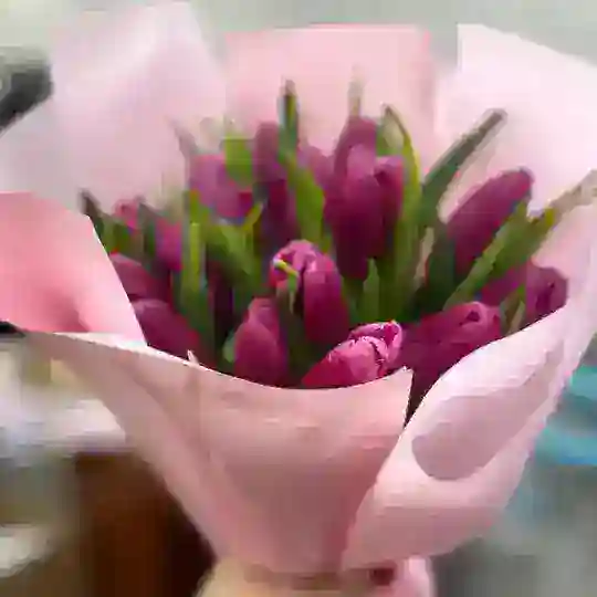 My_tyulpan_uu
