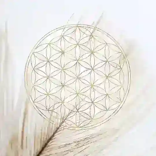 ๐บ Natural Law - International