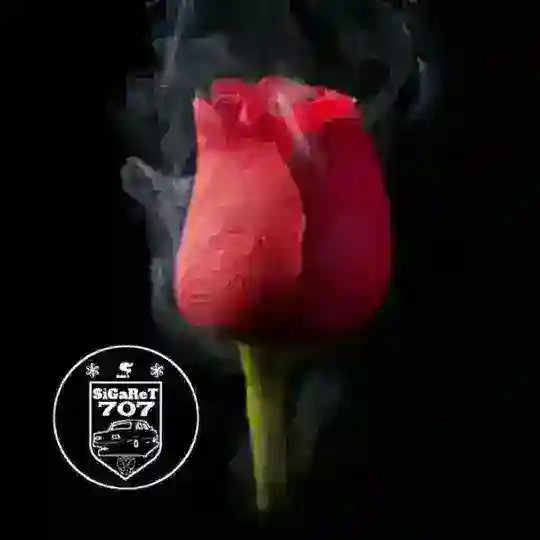 ▀▄▀▄▀▄░N░i░k░l░a░r▄▀▄▀▄▀