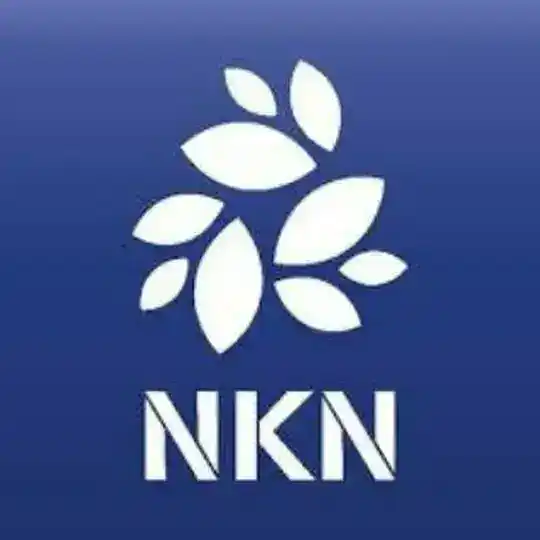 NKN Coin