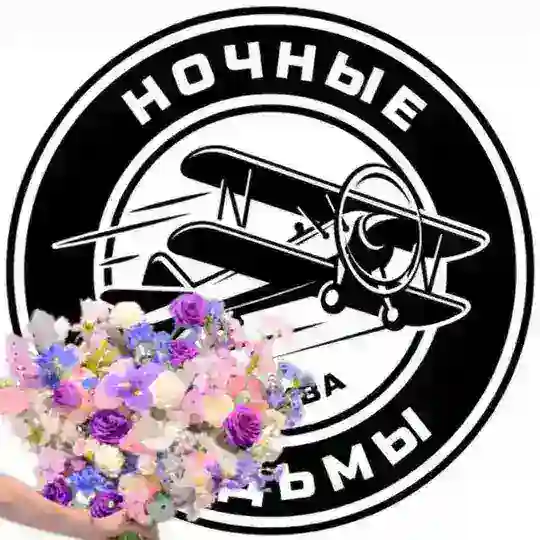 «Ночные ведьмы» г. Москва