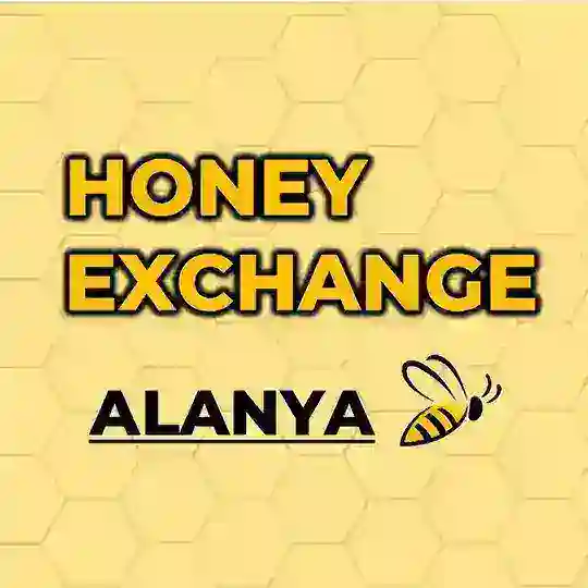 HONEY EXCHANGE / ОБМЕН ДЕНЕГ В АЛАНИИ