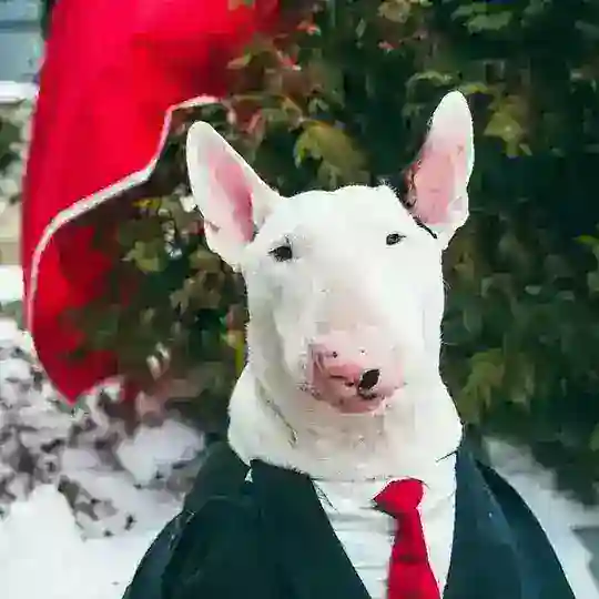 🙊 Без границ и правил 🙈