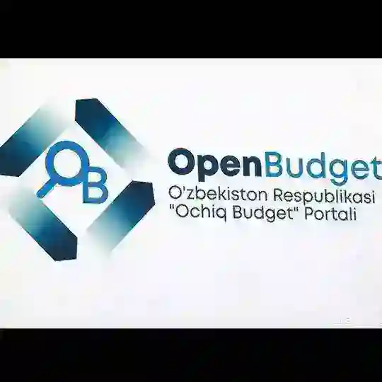 OPEN BUDJET ZEBONA(otziv)