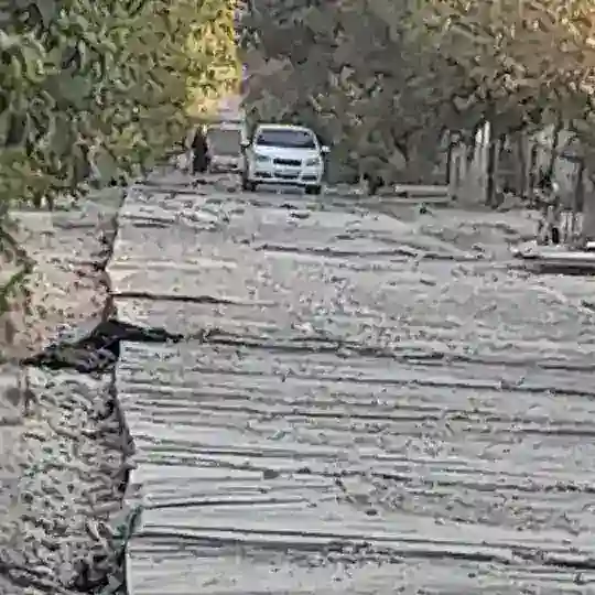 Озод кўчамиз!