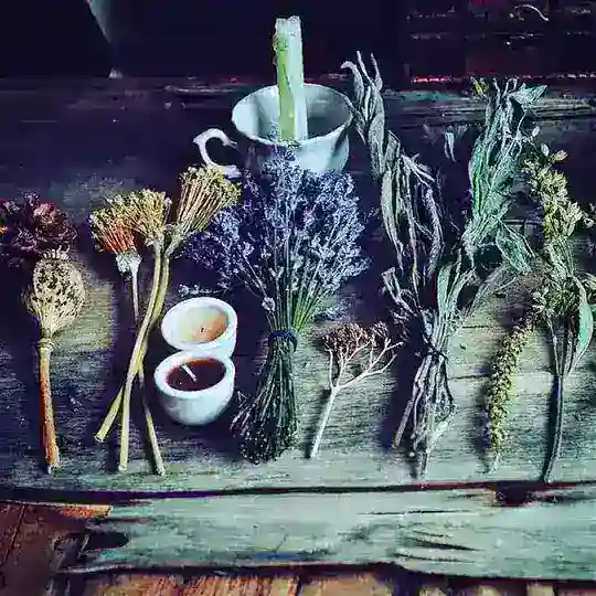 *Pacha Mama* Dschungelhexe 🌍💚