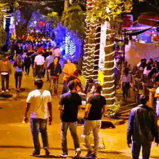 PARTY LAURELES (La 70, La 33, La 30...)