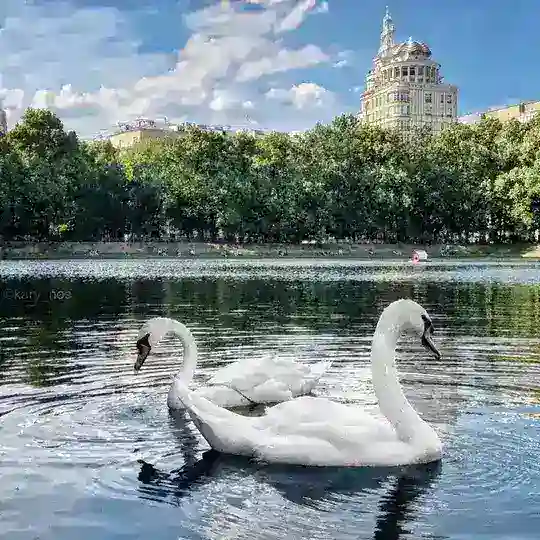 Патриаршие Пруды