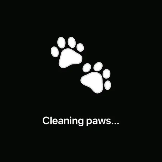 PAWS VN 🇻🇳🇻🇳🇻🇳